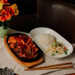 KACZKA SHANGHAI / SHANGHAI DUCK